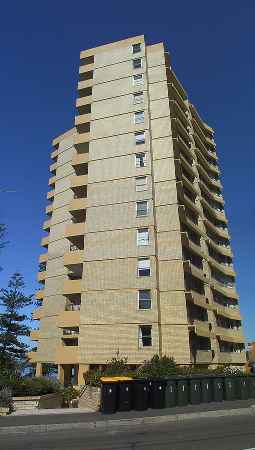 The Pines by John Bek