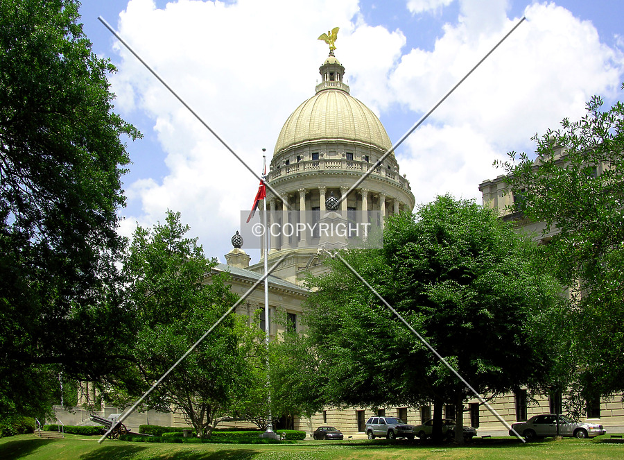Mississippi State Capitol by Chris Patriarca