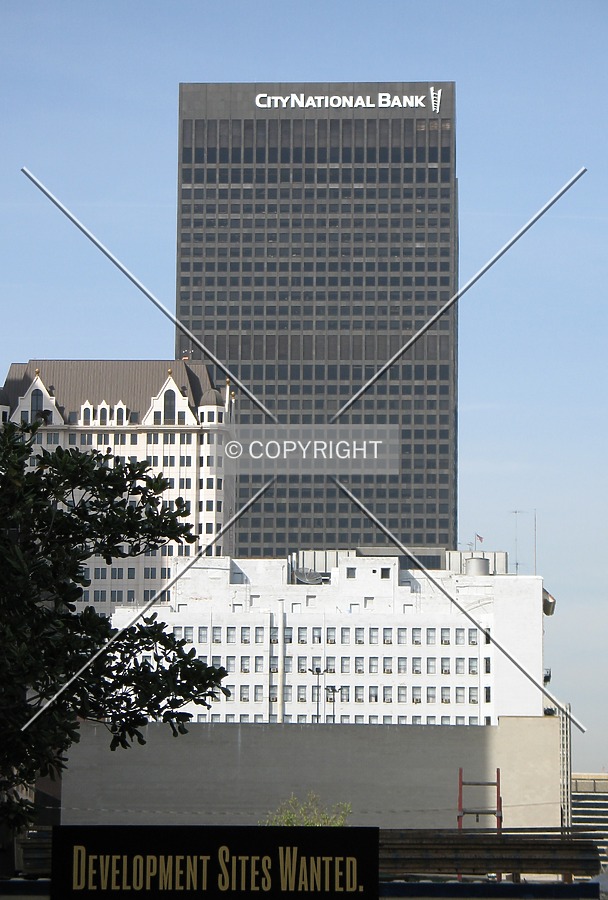 City National Tower by Emmanuel D.