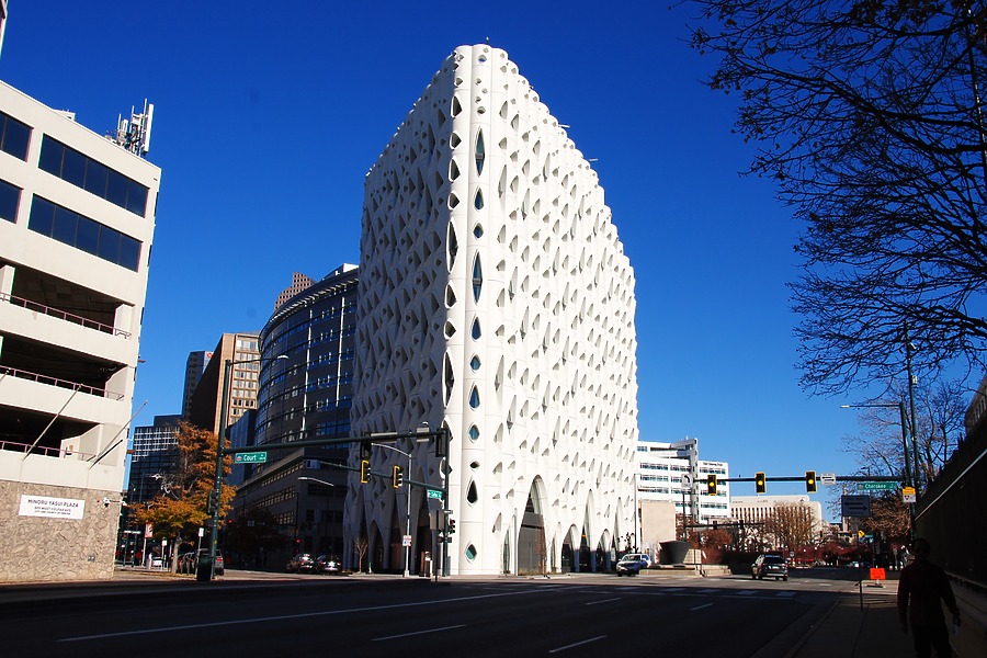 Populus by Brian LoBue