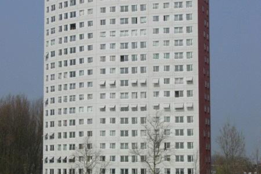 Sneeuwvos