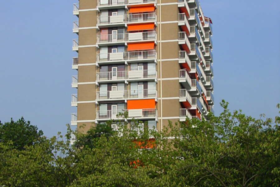 De Kastanje