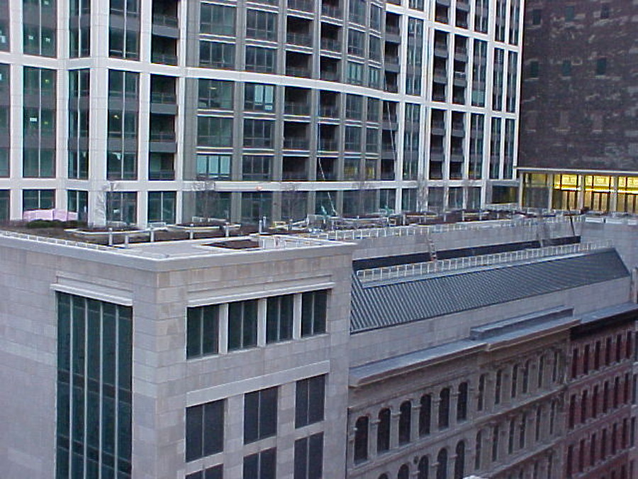 The Heritage at Millennium Park by B. Victor Adams