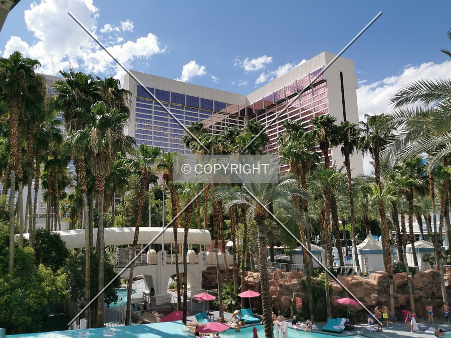 Flamingo Las Vegas by Nephilim