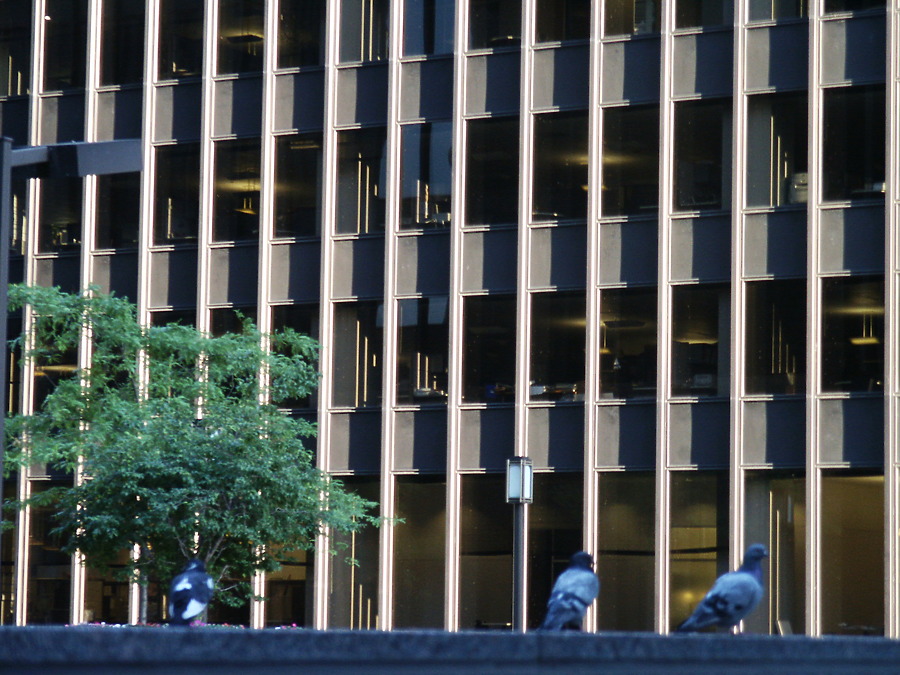 Michigan Plaza North by Daniel Kieckhefer