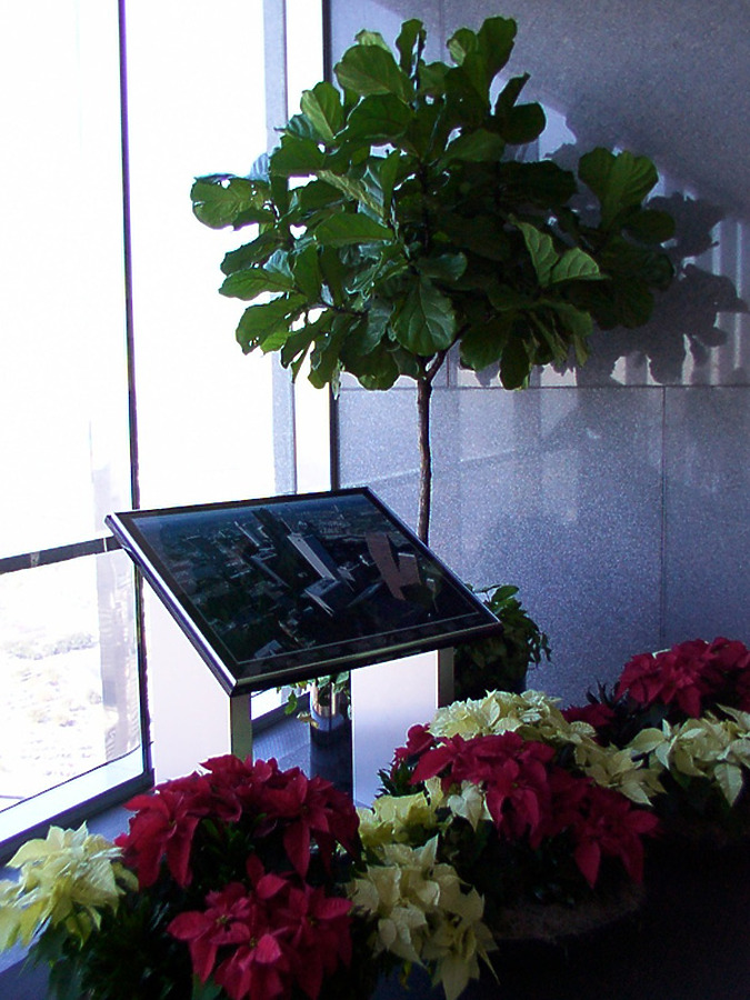 600 Travis by Daniel Kieckhefer