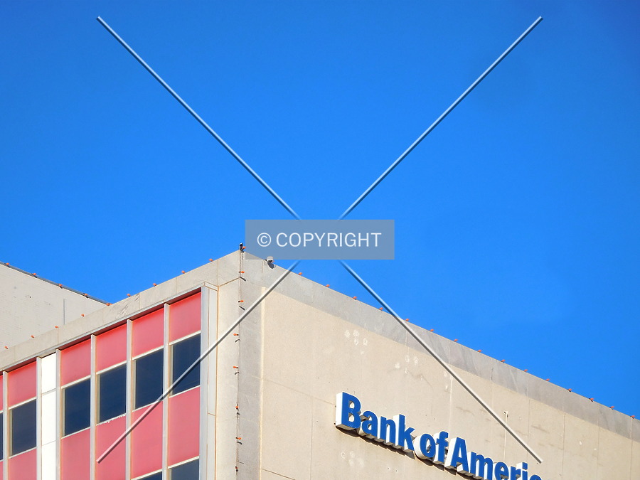 Bank of America Building by Chris Patriarca