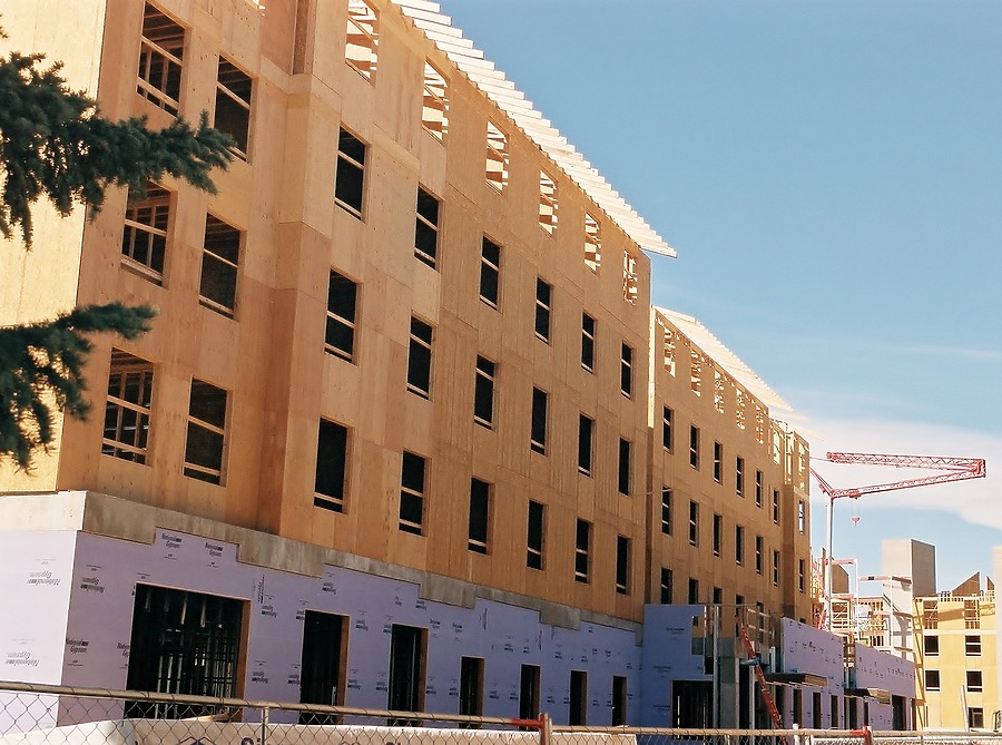 Piñon Hall by Brian LoBue