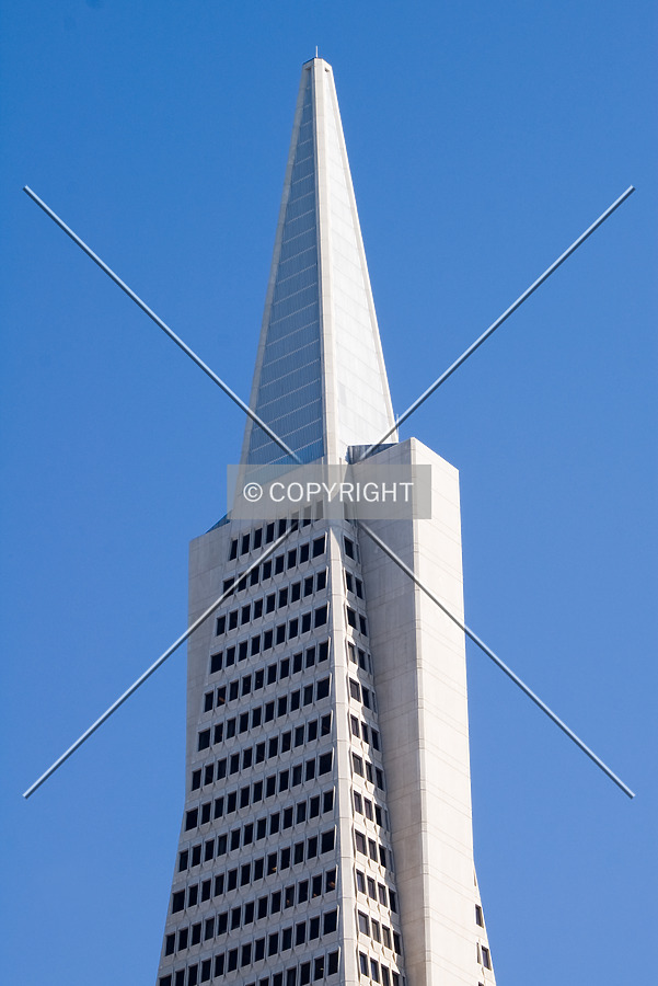 Transamerica Pyramid by Martin Bugajski