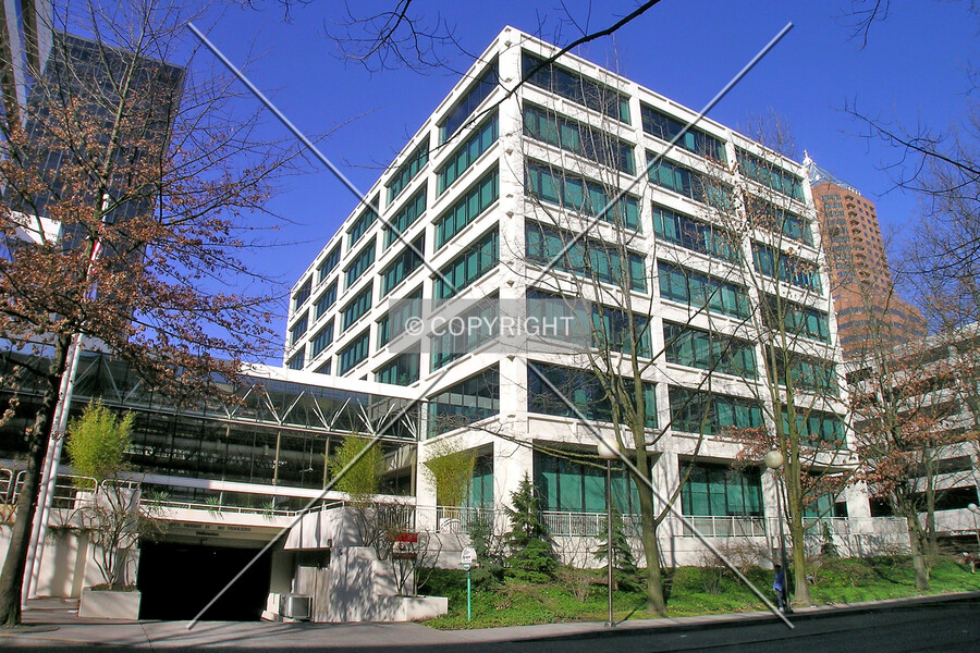 100 Market
