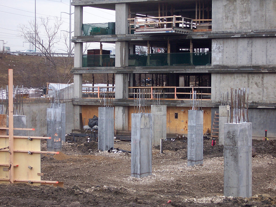 Optima Old Orchard Woods by Shawn Ursini