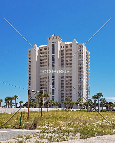 The Pearl of Navarre