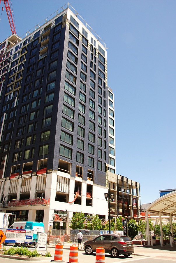 The Coloradan by Brian LoBue