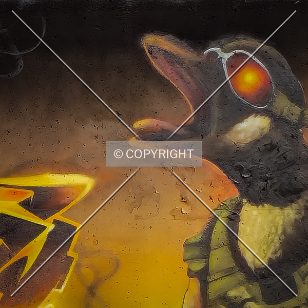 Saint Louis City Flood Wall (South Wall) by Ryan Hildebrand