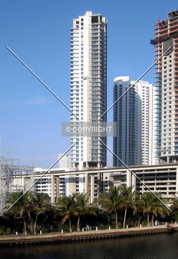 The Ivy by Jorge Molina