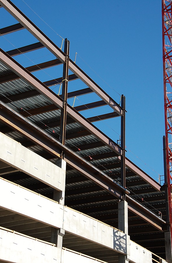 50 Fifty DTC by Brian LoBue