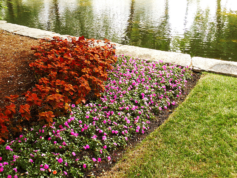 Lake Point Tower by Daniel Kieckhefer