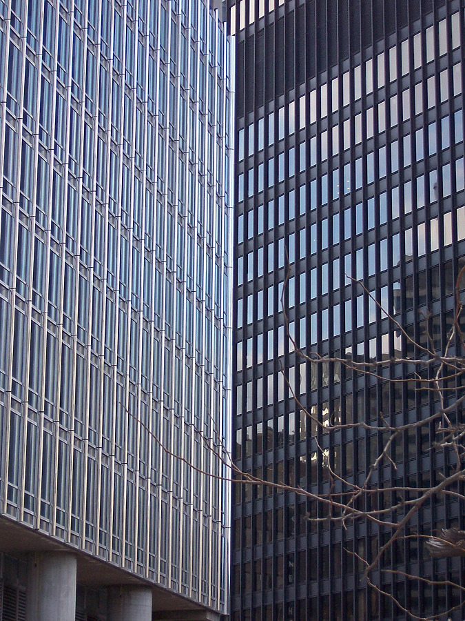 Trump International Hotel & Tower by Shawn Ursini