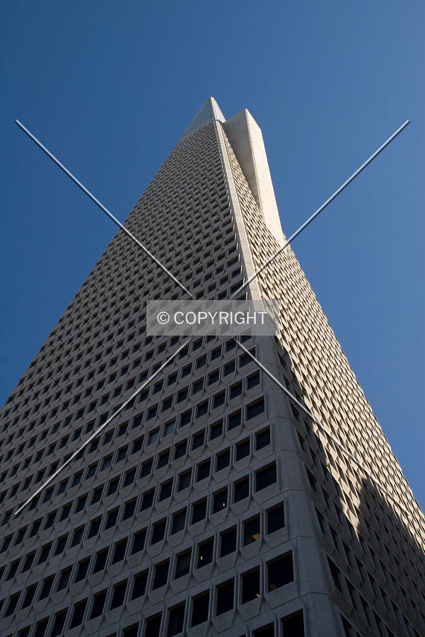 Transamerica Pyramid by Martin Bugajski