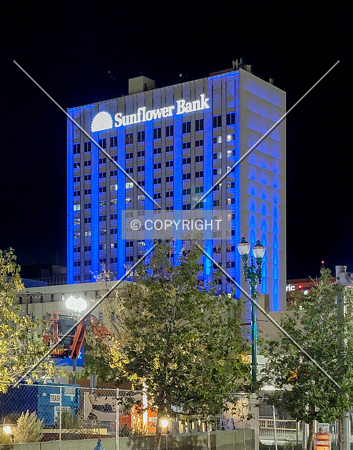 One San Jacinto Plaza by Ryan Hildebrand