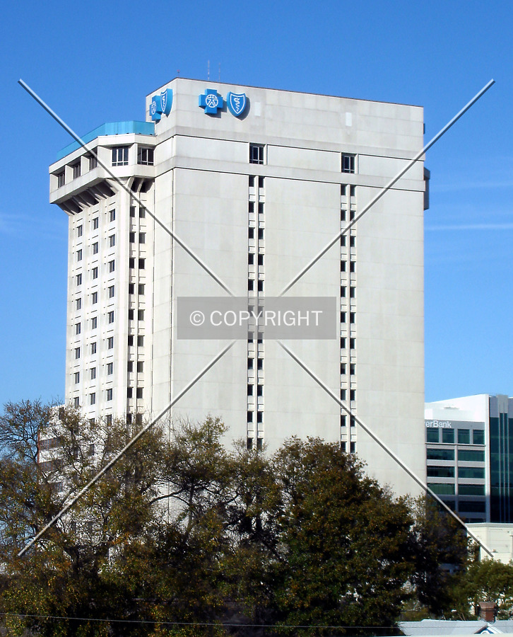 Blue Cross-Blue Shield Building by Royce Douglas