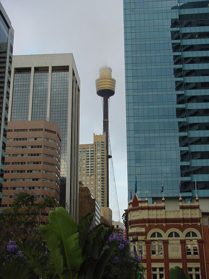 Sydney Tower by Garrett Stout