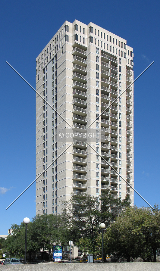 Seven Evergreen by Emmanuel D.