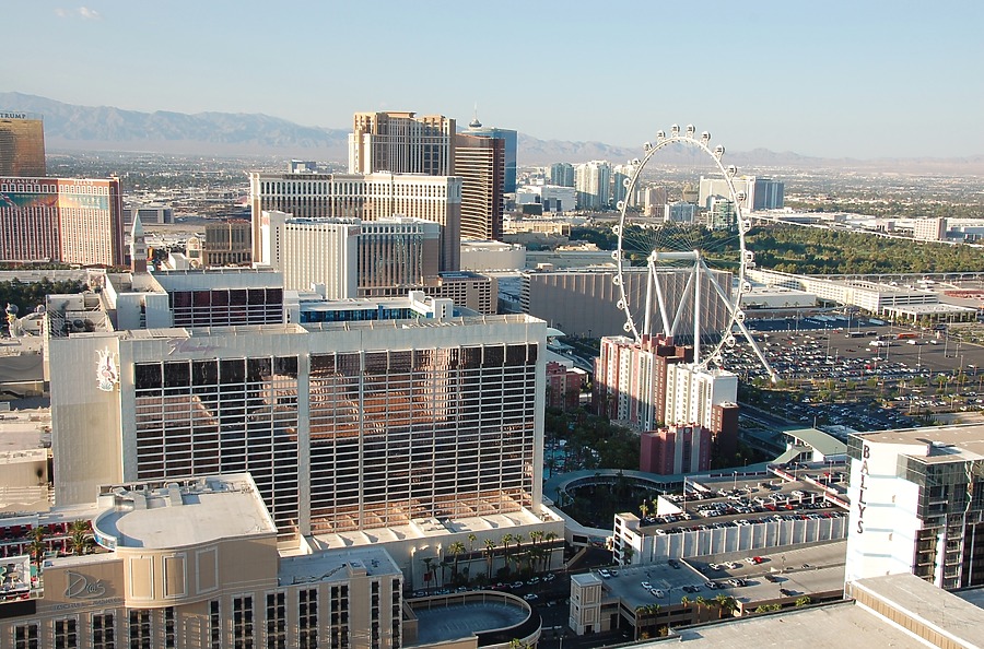 High Roller by Brian LoBue