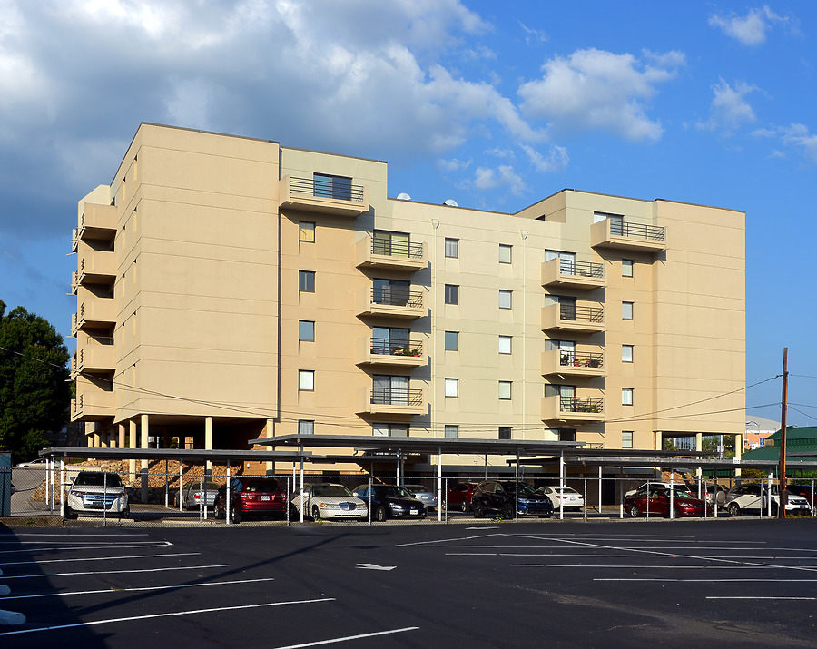 Fort Henry Arms by John W. Cahill