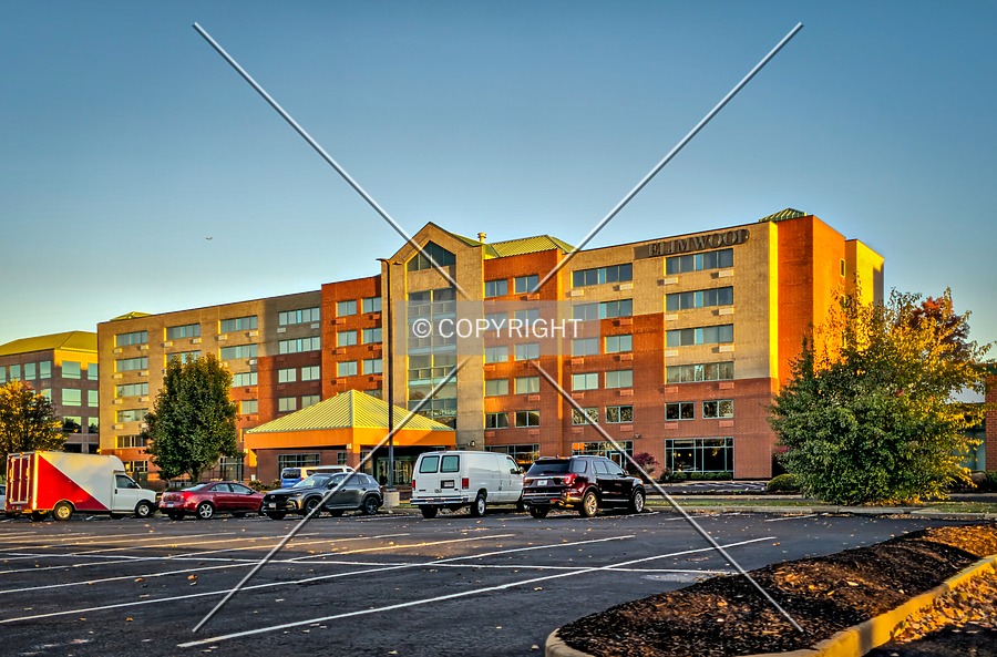 Elimwood Hotel by Ryan Hildebrand