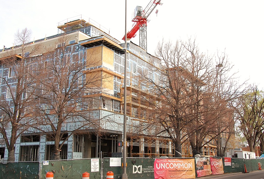 Uncommon Fort Collins by Brian LoBue