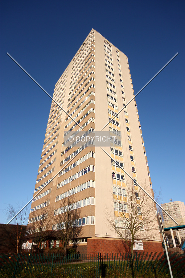 Hampton View by Neil Nickolds