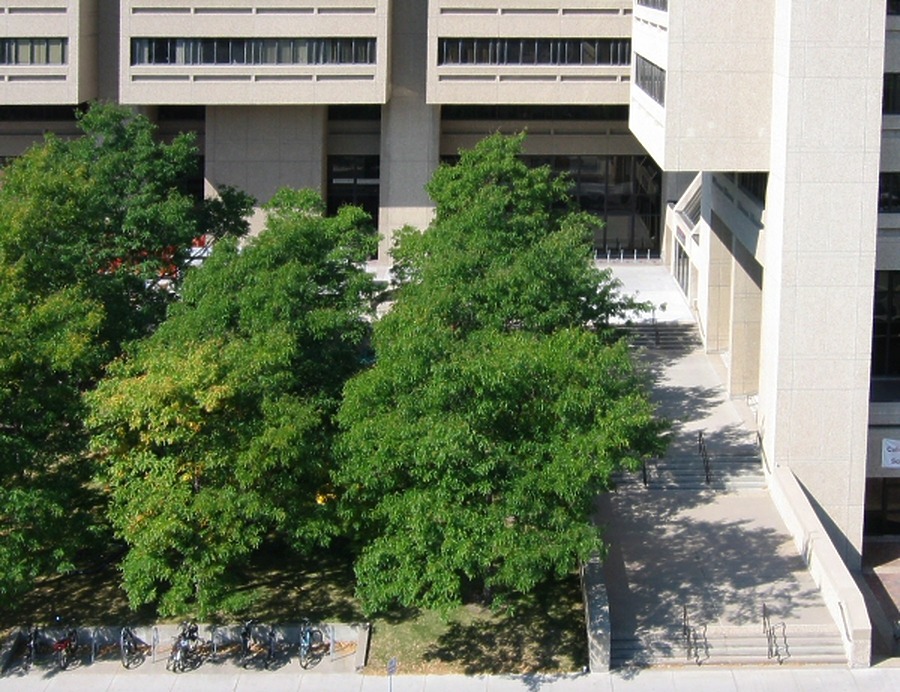 Moos Health Sciences Tower by James Peacock