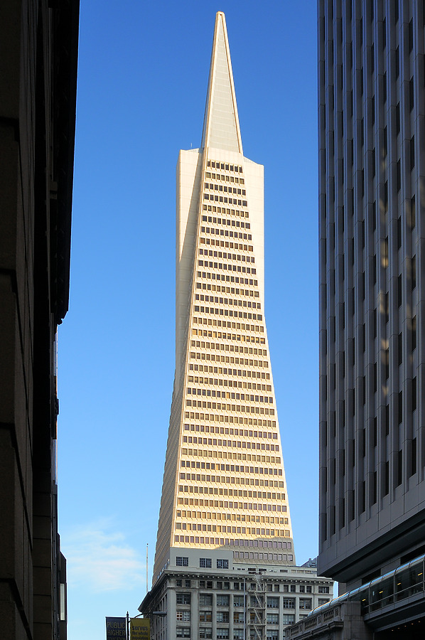 Transamerica Pyramid by David Guija
