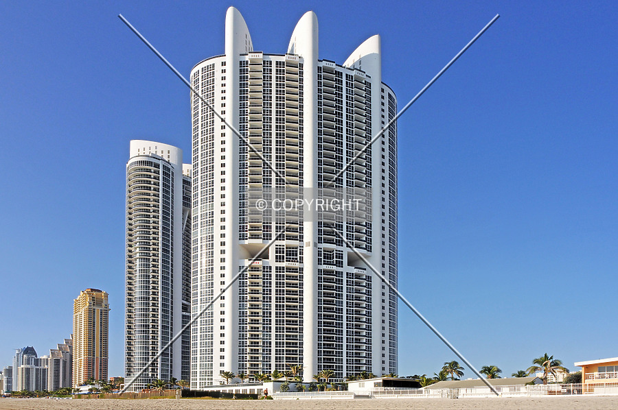 Trump Royale by Jorge Molina