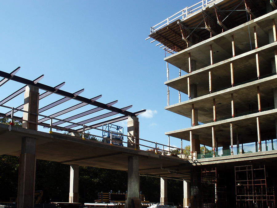 Optima Old Orchard Woods by Daniel Kieckhefer