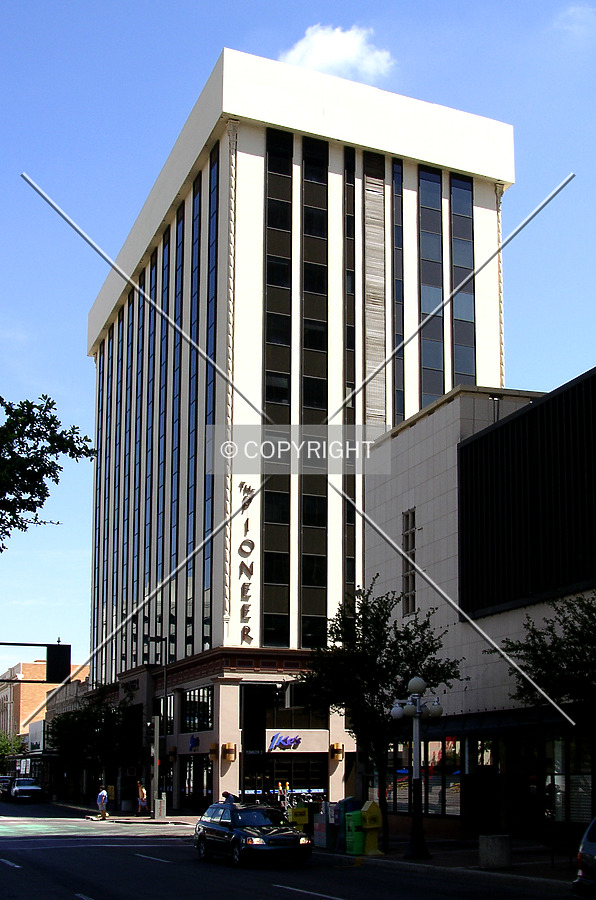 The Pioneer by Chris Patriarca