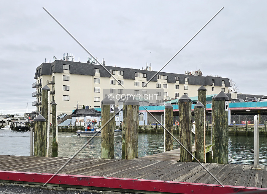 Annapolis Waterfront Hotel, Autograph Collection by Ryan Hildebrand
