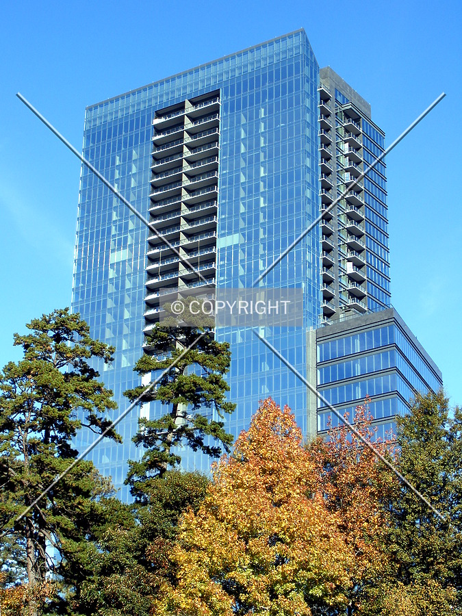 The Ritz-Carlton Residences by Clayton Odom