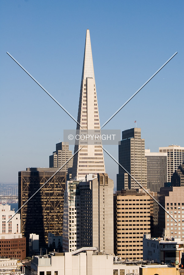 Transamerica Pyramid by Martin Bugajski