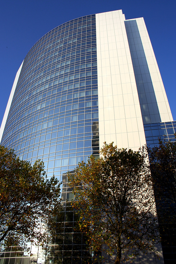 Ventura by Daniel Kieckhefer