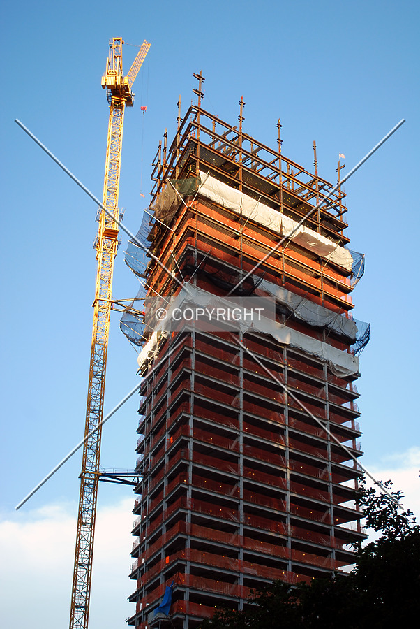 Toren by Royce Douglas