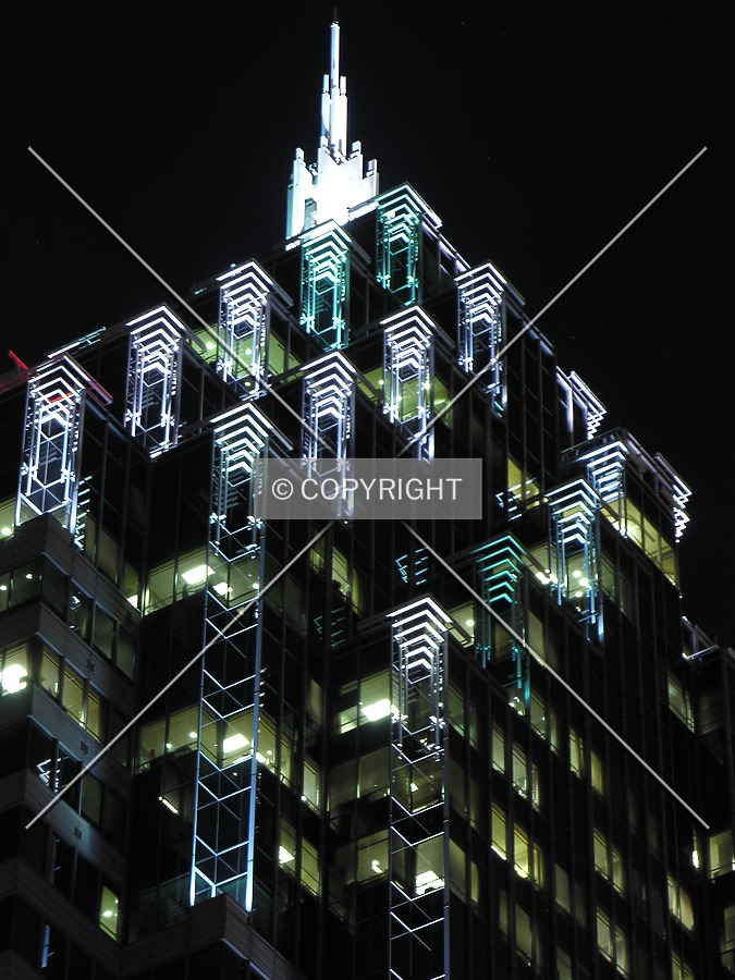 Promenade II by Lizzie Morrison