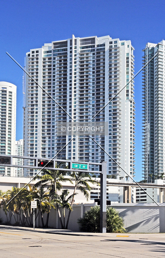 The Ivy by Jorge Molina