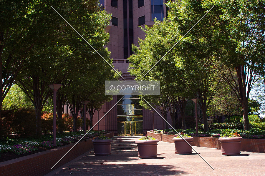 Bank of America Plaza by Martin Bugajski