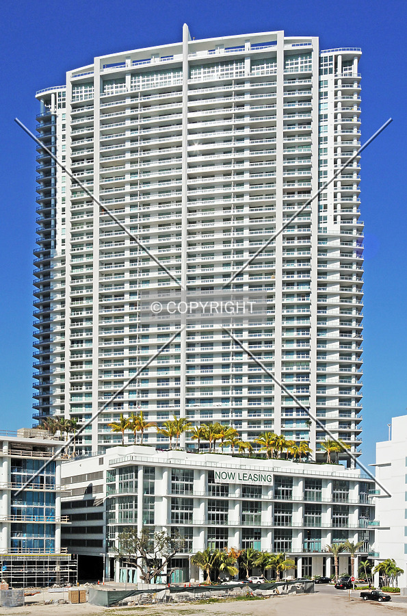 The Ivy by Jorge Molina