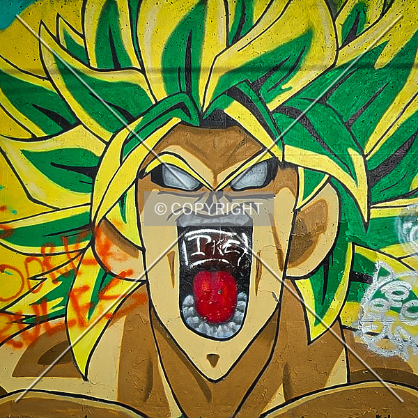 Saint Louis City Flood Wall (South Wall) by Ryan Hildebrand