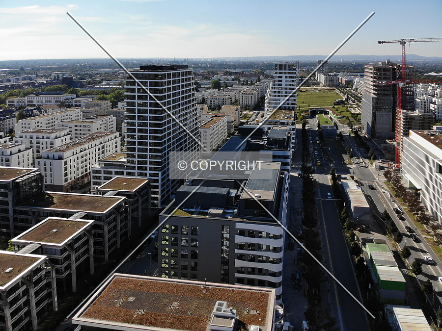 SOLID Home by Nephilim