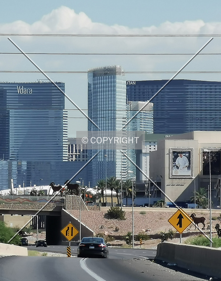 Aria Resort & Casino by Nephilim