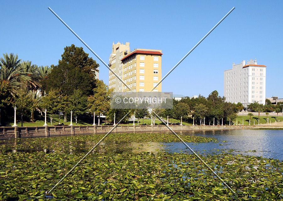 Mirror Lake Tower by Jorge Molina